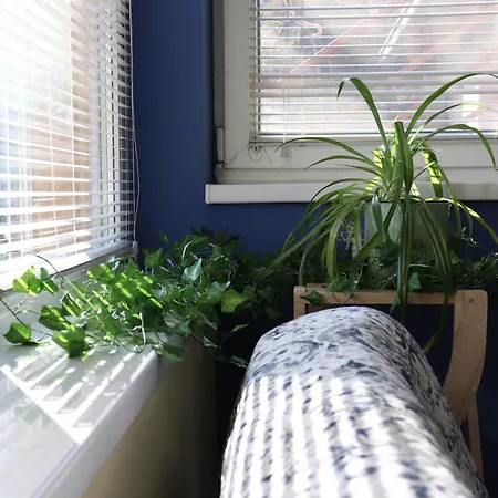 Center Dunja * Subotica