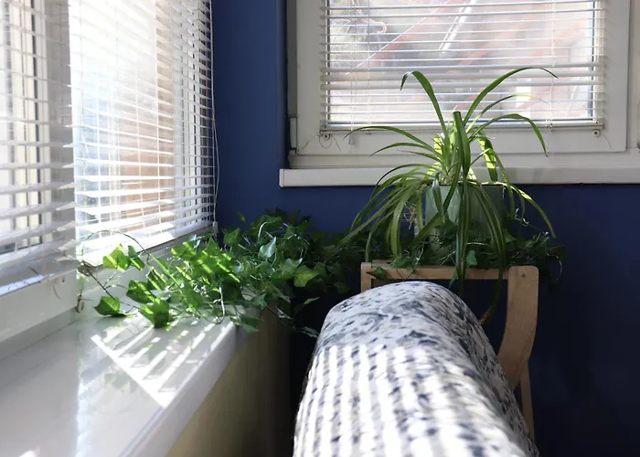 Center Dunja * Subotica